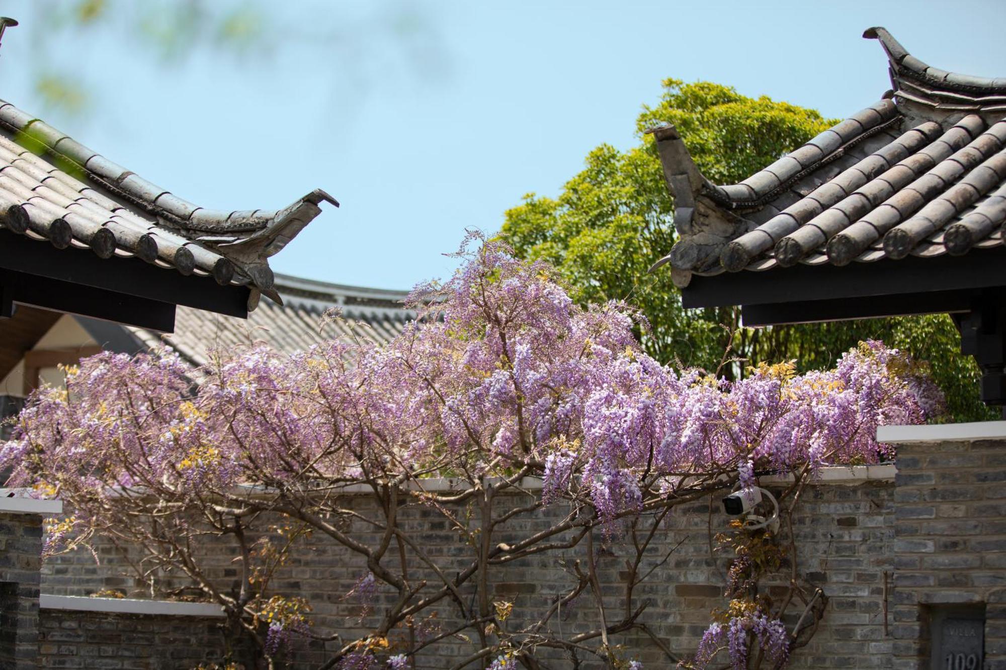 Banyan Tree Lijiang Hotel Lijiang  Exterior photo